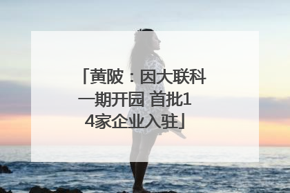 黄陂：因大联科一期开园 首批14家企业入驻